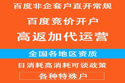 SEM推广实战：成功案例解读与策略调整